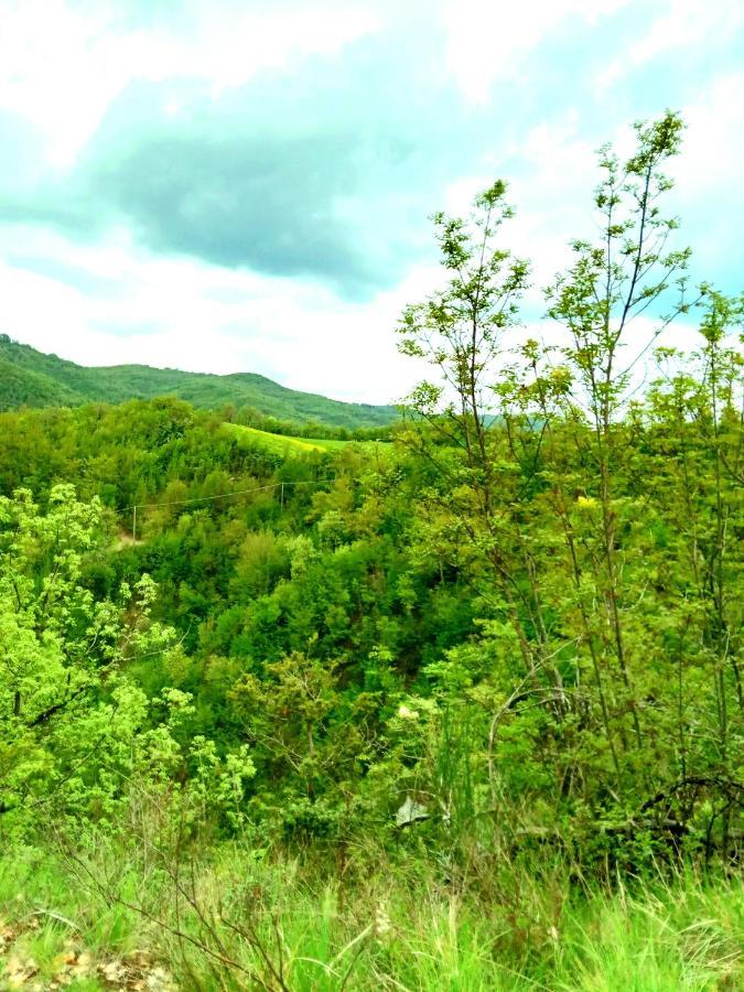 Molino Sant'Anna Casa Biron旅馆 外观 照片