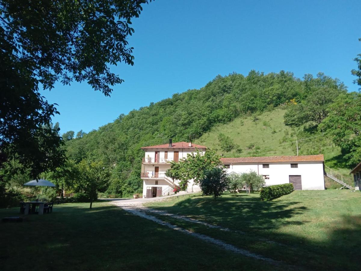 Molino Sant'Anna Casa Biron旅馆 外观 照片
