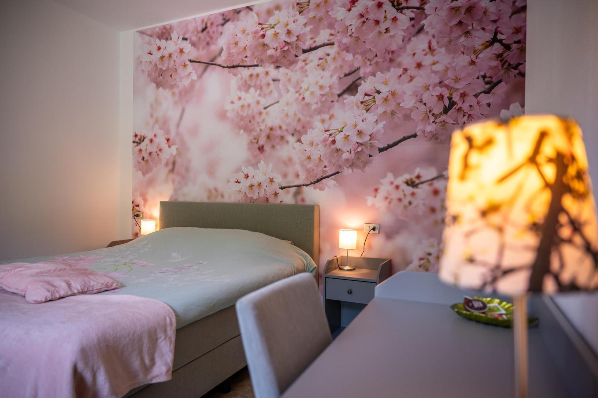 Molino Sant'Anna Casa Biron旅馆 外观 照片